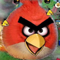 Angry Birds And Zombies