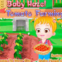 Baby Hazel. Tomato Farming