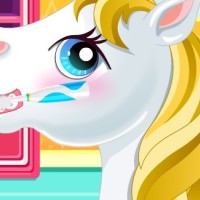 Baby Pony Salon