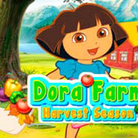 Dora Farm Harvest Season