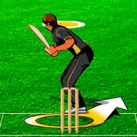 Fantasy cricket