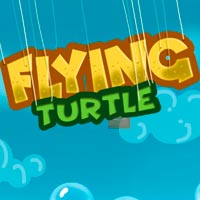 Flying Turtle