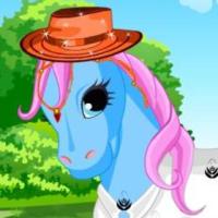 Little pony dress up