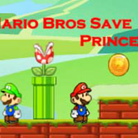 Mario Bros Save Princess