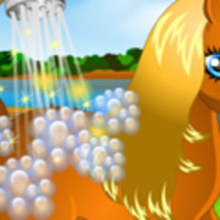 Clean Ponies Pony Cleaning - Play Online for Free on GekoGames