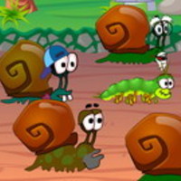 Snail Race