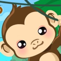 Take Care The Baby Monkey